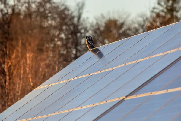 how do solar panels work