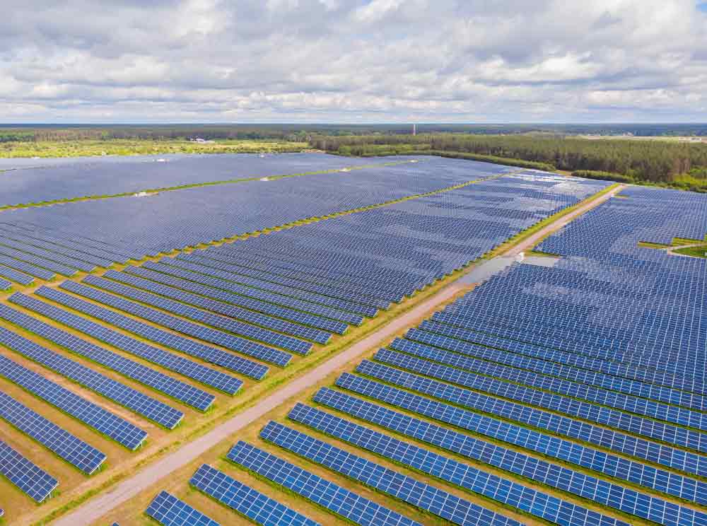 Solar Panels for Businesses in the UK solar farm