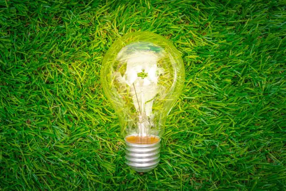 Solar Panels for Businesses in the UK green lightbulb