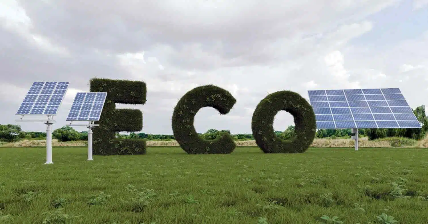 The Environmental Impact of Solar Panels